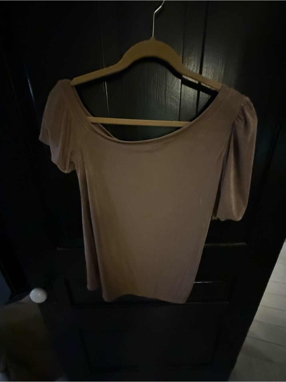 Red Brown Scoop Neck Short Sleeve Top